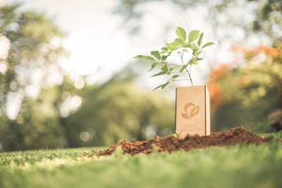 Dejar una huella a través de la naturaleza