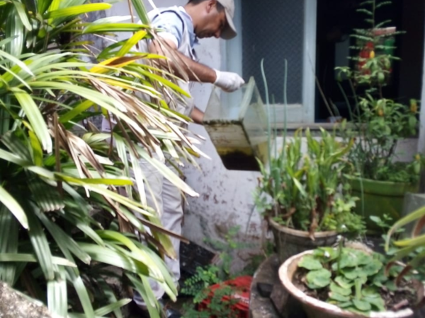 Dengue: Lamentan que campañas de prevención no impactan en la conciencia ciudadana