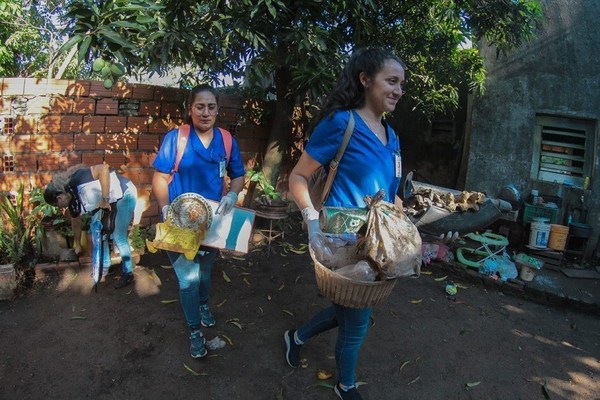 En Central, el 90 % de las casas tienen criaderos del mosquito transmisor del dengue - ADN Paraguayo