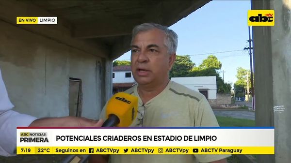 Potenciales criaderos en estadio de Limpio - ABC Noticias - ABC Color