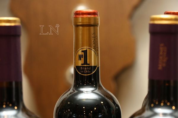 Bebidas del Paraguay incursiona en el rubro de vinos