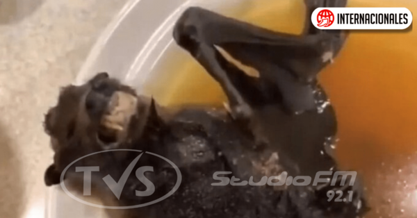 Mujer come una sopa de murciélago que pudo haber originado el coronavirus en China