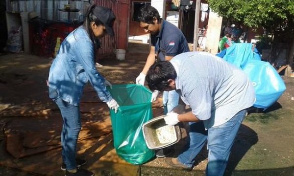 El 90% de los pobladores de Central tienen criaderos de dengue en sus casas