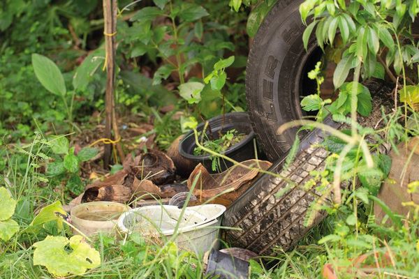 Comuna de Pirayú ofrece recolección de basura gratuita en la lucha contra el dengue - Nacionales - ABC Color