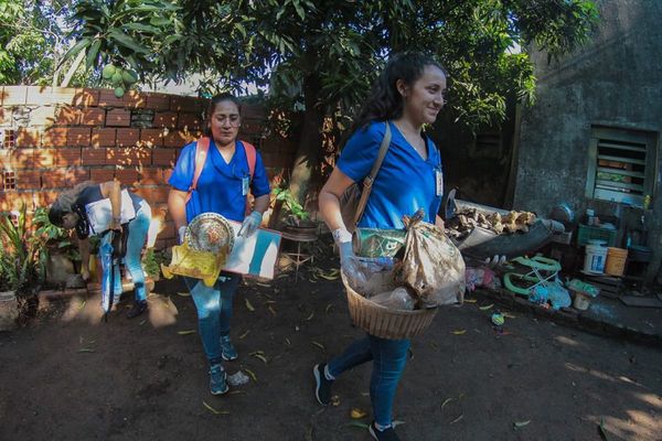 Unos 433 casos sospechosos de dengue en Limpio