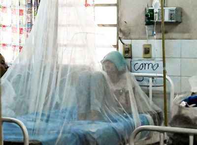 Más reposos por dengue en un mes que en todo 2019 - Nacionales - ABC Color