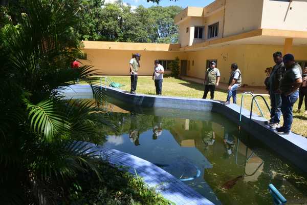 Intervienen residencias con piscina en mal estado en el marco de la lucha contra el Dengue.