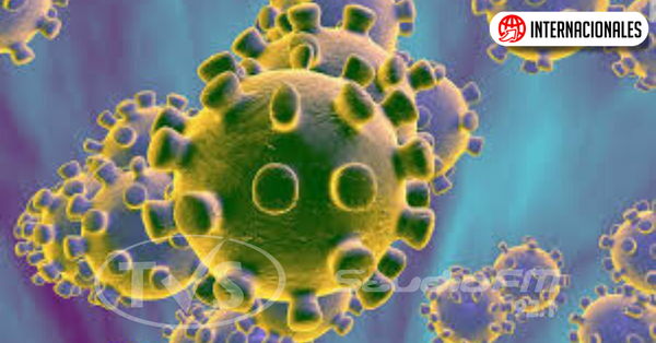 El coronavirus llegó a Europa: confirmaron dos casos en Francia