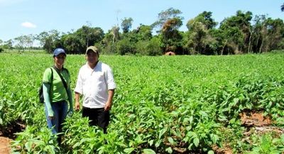 Ka’asapa ojogua equipo vial ha agrícola - ABC Remiandu - ABC Color