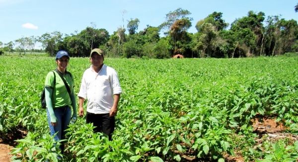 Ka’asapa ojogua equipo vial ha agrícola - ABC Remiandu - ABC Color