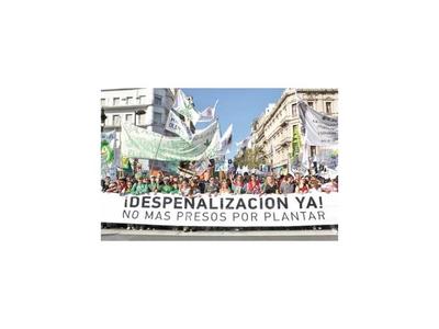 Argentina estudia despenalizar consumo y cultivo de cannabis