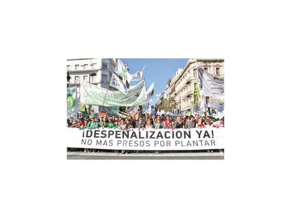 Argentina estudia despenalizar consumo y cultivo de cannabis