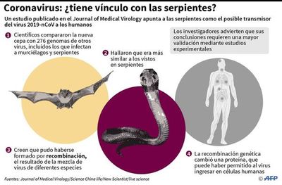 El origen de la cepa sería de murciélagos - Internacionales - ABC Color