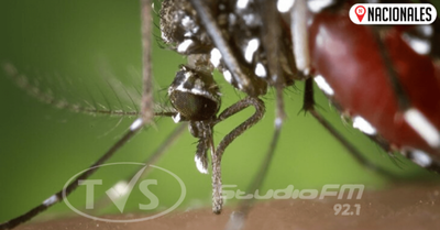 Anuncian aumento y diseminación del dengue