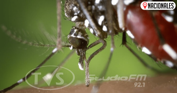Anuncian aumento y diseminación del dengue
