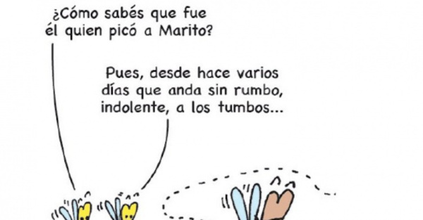 YOR – A los tumbos