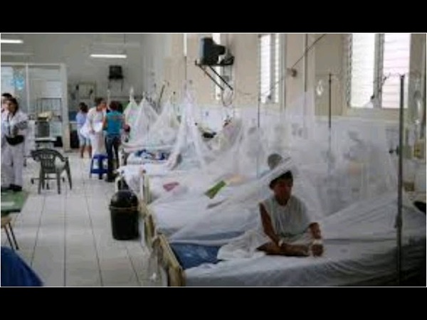 IPS registra más de 5.500 registros de reposos por dengue sólo en enero