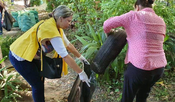 En 4 meses registran 27.758 notificaciones por dengue