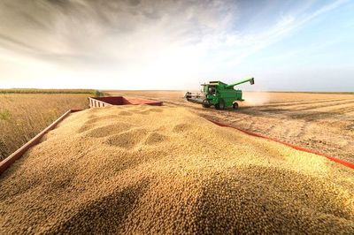 Industrialización se redujo más del 7% en 2019