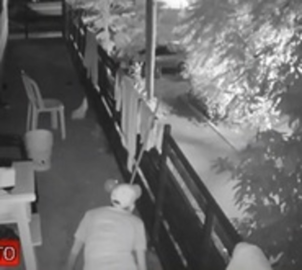 Hurtan televisor y carteras de vivienda en Lambaré - Paraguay.com