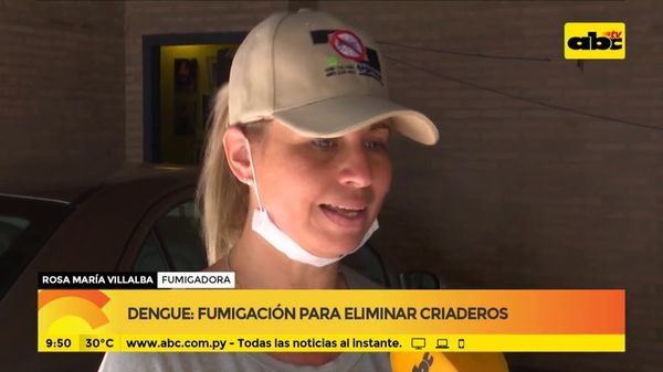 Dengue: Fumigación para eliminar criaderos - ABC Noticias - ABC Color