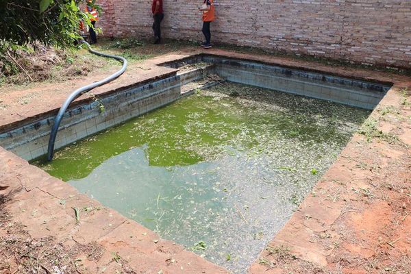 Fiscalía del Medio Ambiente allana viviendas con criaderos de mosquitos en Lambaré - Nacionales - ABC Color