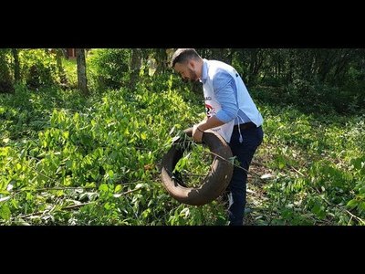 ENCARNACIÓN LIBRE DE DENGUE: JÓVENES INTERVIENEN ELIMINANDO CRIADEROS