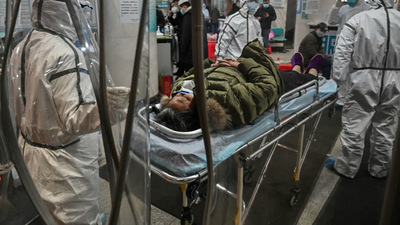 Brasil: ‘arenavirus’ reaparece luego de 20 años y ya dejó un muerto