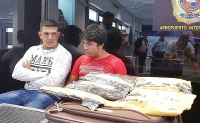 Can antidroga frustra tráfico de droga a España •