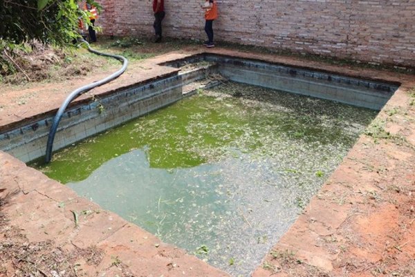 Persiste lucha contra criaderos de mosquitos en Lambaré | Noticias Paraguay