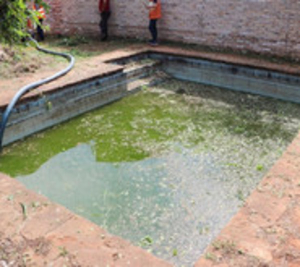 Allanamientos en Lambaré en marco de lucha contra el dengue - Paraguay.com