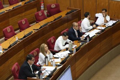 Comisión Permanente analiza pedido de estado de excepción en Amambay