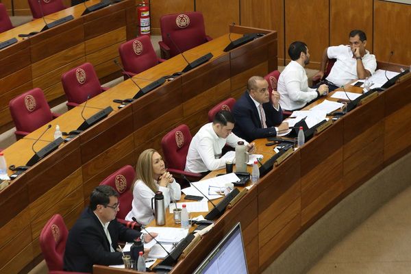Comisión Permanente analiza pedido de estado de excepción en Amambay