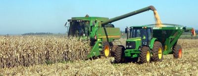 La exportación de maíz aumentó  122% - Economía - ABC Color