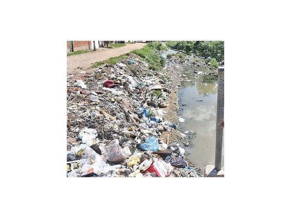 Buscan reducir uso de bolsas porque polucionan ambiente