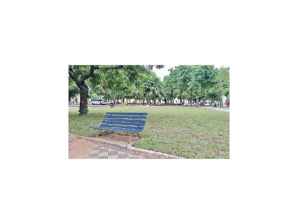 Pasto en las plazas del Cabildo