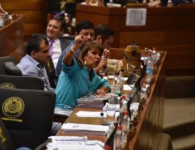 Diputada sugiere un plan “más bien represivo” para penitenciarías  - Nacionales - ABC Color