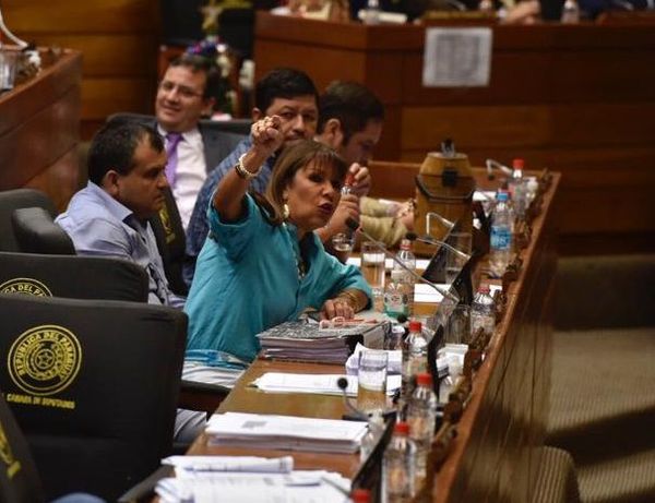 Diputada sugiere un plan “más bien represivo” para penitenciarías - Nacionales - ABC Color