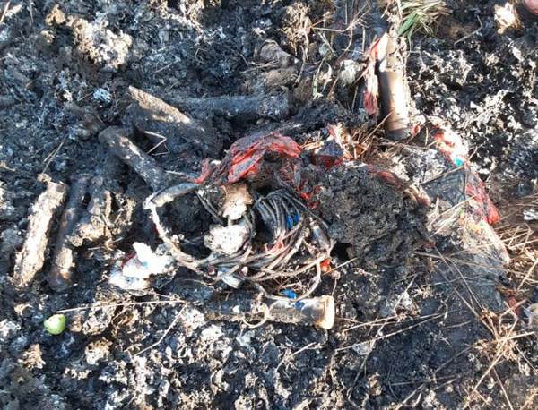 Criminal: queman basura patológica en plena playa de Chaco´i | Radio Regional 660 AM