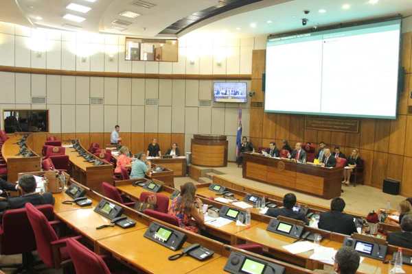 Comisión Permanente del Congreso rechaza tratar Estado de Excepción en Amambay - ADN Paraguayo