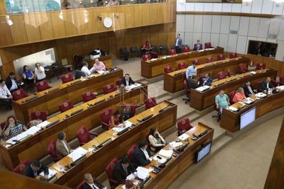 No tratarán pedido de estado de excepción