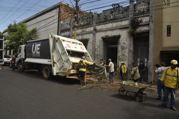 Propietario de vivienda con criadero de mosquitos se expone hasta a 5 años de cárcel - Nacionales - ABC Color