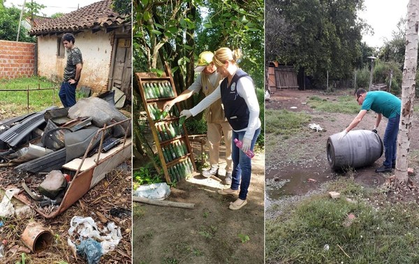 Diputada quiere meter preso a los “puercos” que no limpian sus patios. Presentará un proyecto de ley - ADN Paraguayo