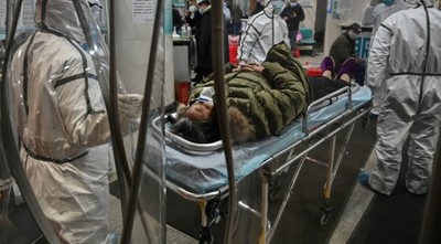Arenavirus: La enfermedad que volvió a resurgir y ya mató a una persona en Brasil » Ñanduti