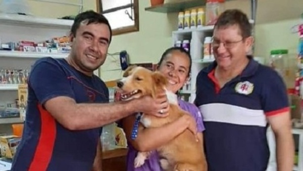 Rubito, el perro arrastrado por su dueño, ya fue adoptado