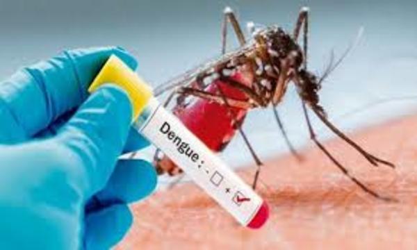 Dengue: Hay más de 2.000 notificaciones por día