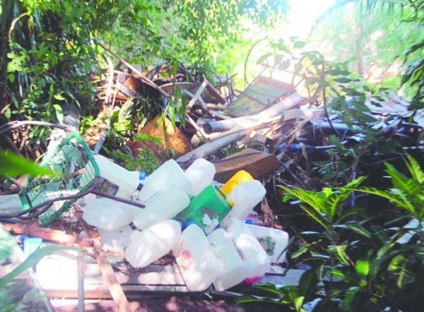 Propietarios de terrenos baldíos serán investigados | Noticias Paraguay