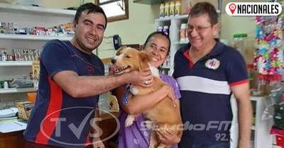 Rubito, el perro arrastrado por su dueño, ya fue adoptado