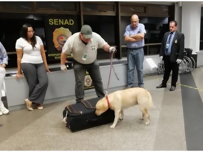 Control en aeropuerto supera pérdidas de USD 1,3 millones al narcotráfico