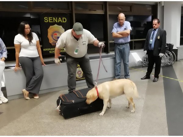 Control en aeropuerto supera pérdidas de USD 1,3 millones al narcotráfico